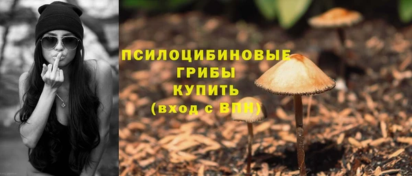 mdpv Алексин