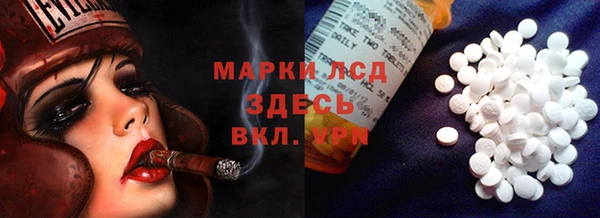 PSILOCYBIN Алзамай