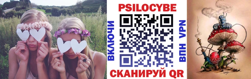 Галлюциногенные грибы Psilocybe  Шелехов 